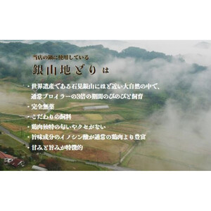 カラダ巡る 銀山地どりの『美人鍋』4～5人前