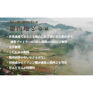 完全無薬で育った 銀山地どりの『つみれ鍋』2～3人前