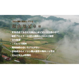 完全無薬で育った 銀山地どりの『つみれ鍋』4～5人前