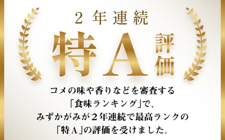 みずかがみ BG無洗米 令和7年産 10kg [B-00403] みずかがみ