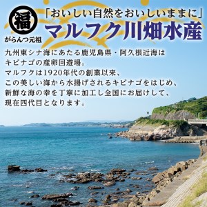 ＜定期便・全2回(隔月)＞阿久根市産 干物(8種)国産 鹿児島県産 ひもの 開き 一夜干し がらんつ 乾物 魚 キビナゴ あじ いか イカ うるめ あおさ ひいらぎ わかめ【マルフク川畑水産】akn029-14