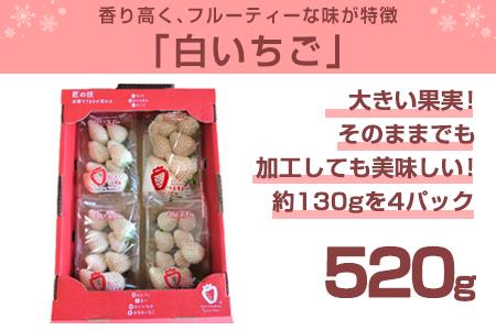 『先行予約』【令和9年2月上旬から4月下旬までにお届け】白い宝石 白いちご 約130g×4P(合計約520g) ご自宅用 いちご イチゴ 苺 贈答 フルーツ 果物 希少