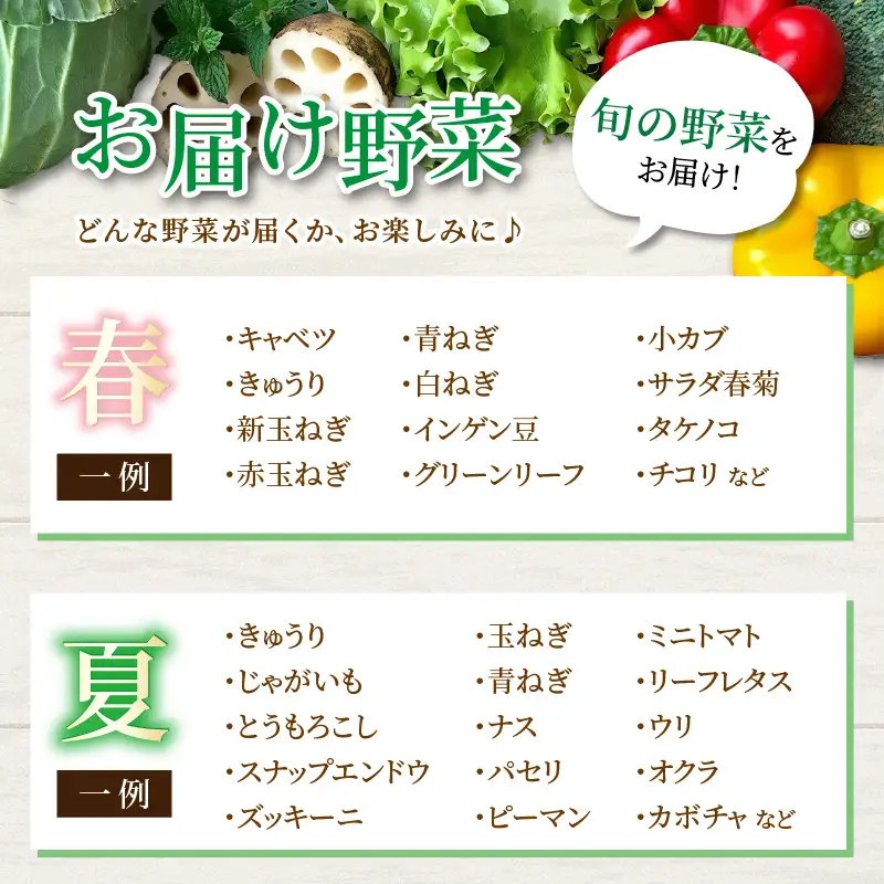 【5営業日発送！】農家直送 旬の野菜セット 7品目以上 1箱 ／ 季節 野菜 ボックス BOX セット セレクト 農家 おまかせ 多品目 旬 詰め合わせ 根菜 葉物 [aw028-a012]