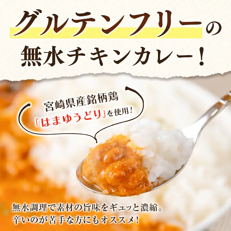 グルテンフリー 無水チキンカレー TEGEUMA SPICE CURRY（テゲうまスパイスカレー）180g×6箱【B595】