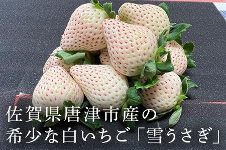 唐津産 冷凍白いちご「雪うさぎ」500g×2袋(合計1kg) 真空包装 加工品用 苺 イチゴ 希少 果物 フルーツ