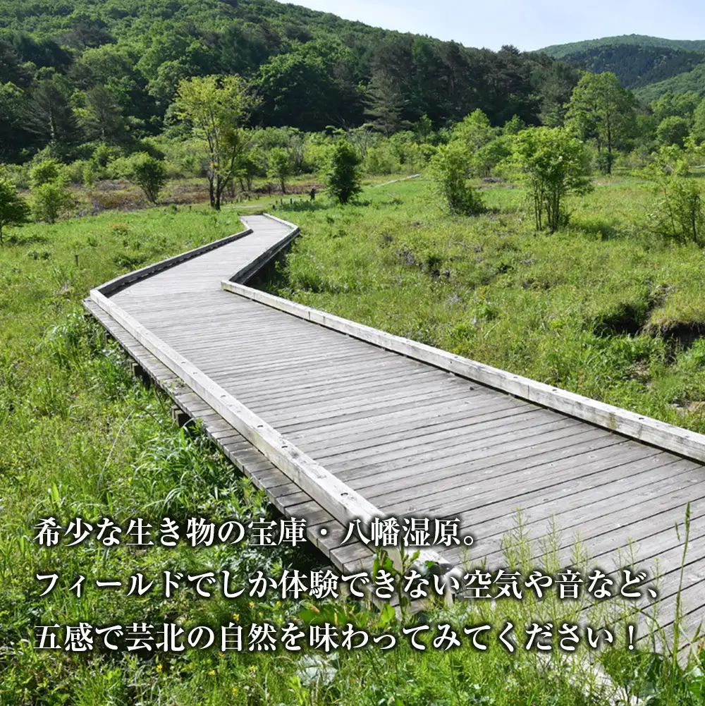国定公園を専属ガイドと巡る『八幡湿原』トレッキング体験プラン GE014_001