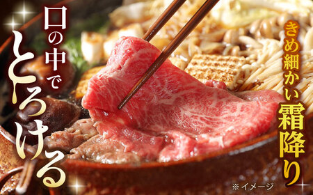 リブロース サーロイン 500g 希少部位 長崎和牛 A4?A5ランク【肉のふじた】 [AG04]すき焼き リブロース サーロイン 九州 九州産