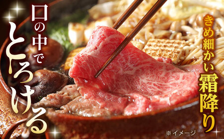 【全3回定期便】 リブロース サーロイン 500g 希少部位 長崎和牛 A4?A5ランク【肉のふじた】 [AG11] リブロース サーロイン 肉 牛肉 しゃぶしゃぶ すき焼き 定期便