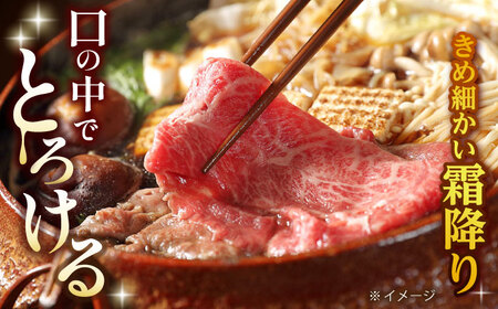 【全12回定期便】 リブロース サーロイン 500g 希少部位 長崎和牛 A4?A5ランク【肉のふじた】 [AG13] 肉 牛肉 ローススライス リブロース サーロイン しゃぶしゃぶ すき焼き 定期便