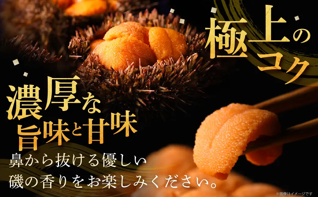 生うに 天然バフンウニ  計200g うに_H0009-100
