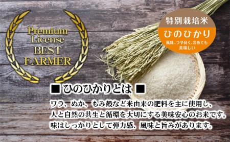 〈坂本自然農場 穂田琉〉 JINEN:ひのひかり 精米5kg お米 白米 ライス ご飯 ブランド米 銘柄米 お弁当 おにぎり 産地直送 主食 炭水化物 朝食 昼食 夕飯 和食 弾力 風味 旨み 