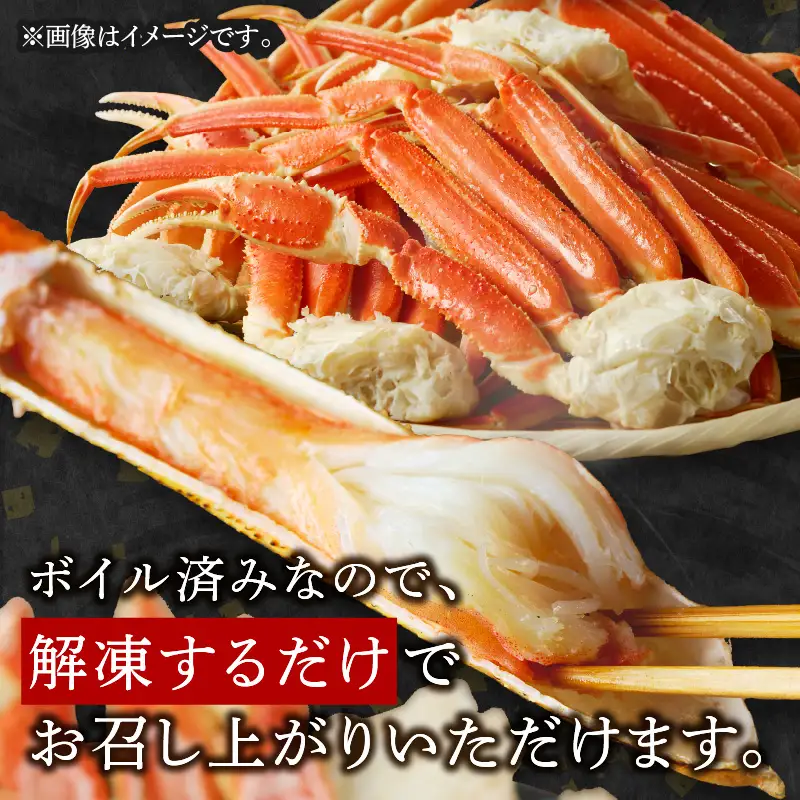 数量限定 ボイルずわいがにセクション2Lサイズ(約1.4kg)【C2-021】