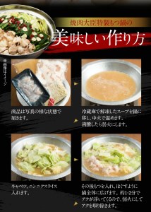 焼肉大臣特製もつ鍋(2～3人前) N066-YZA573