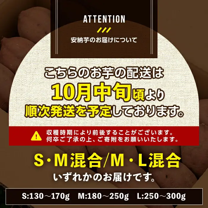 安納芋 さつまいも 10kg【永濱農園】n084