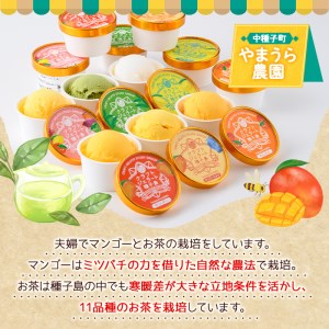 n202 ＜季節セレクション＞ クラフト ジェラート 詰め合わせ 計12個・6種 ×各2個 アイス マンゴー ミルク たんかん 種子島茶 【やまうら農園】