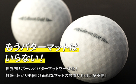 サイレントボール ターゲット付　FN-Limited 雑貨 日用品 