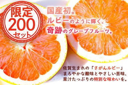【数量限定・リピーター続出】先行予約 グレープフルーツ「さがんルビー」 約５ｋｇ 防腐剤不使用 希少 国産グレープフルーツ【3月下旬頃より順次発送予定】 B-2