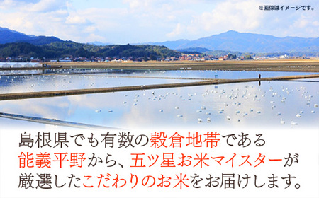 五ツ星お米マイスター厳選 能義平野のきぬむすめ 7kg 【令和7年産 白米 精米 ご飯 美味しい 安心 安全 沼田米穀店 島根県 安来市】【価格変更】【17-NB-03】
