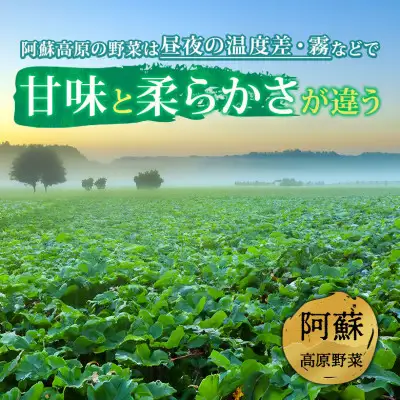 季節のお野菜セットと阿部牧場のASOMILK800ml×2本