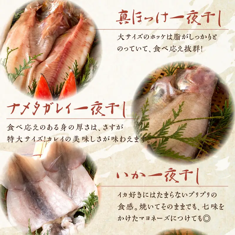 《14営業日以内に発送》船長自慢の海鮮セット ( 海鮮セット 海鮮 魚介類 ホッケ ナメタガレイ いか サーモン 鮭 時鮭 紅鮭 )【114-0065】