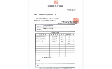【数量限定！】仁淀川特大肉厚うなぎ10尾セット【株式会社山本養鰻】 [BQAL004]