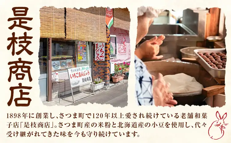 いちごまんじゅう引換券 計25個分 是枝商店《5月上旬-9月末頃出荷》鹿児島県 さつま町 和菓子 饅頭 まんじゅう いちごまんじゅう うるち米 粒あん 特産品 チケット【店舗引き取り限定】