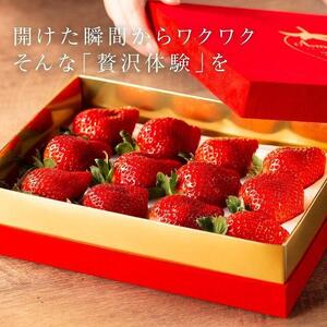 【2027年1月～4月出荷分予約販売】★希少4Lサイズ 450g ★赤のVIPボックスに入った宝石のような「完熟あまおう」！