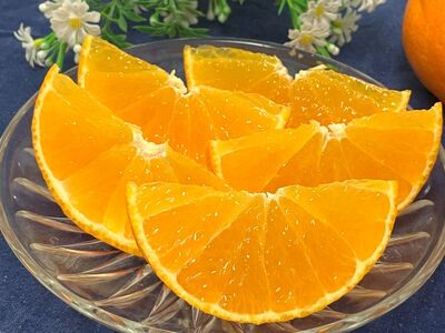 【2026年先行予約】 みかん 愛媛 愛果28号（ハウス栽培）5kg 紅まどんなと同一品種 家庭用 サイズミックス 【2026年12月中旬から順次発送予定】 人気 数量限定 柑橘 伊予市｜B40