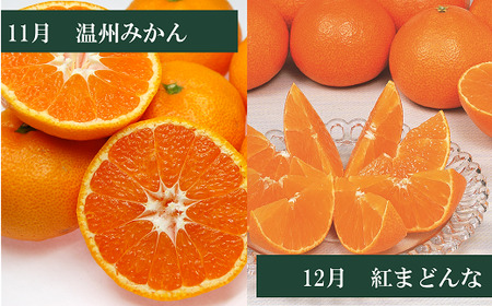 【2026年先行予約】えひめかんきつ定期便（全６回）柑橘 紅まどんな 日の丸みかん 伊予柑 デコポン せとか 河内晩柑  | F01