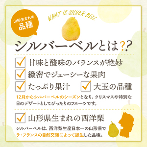 【2026年産】西洋梨 シルバーベル 2kg 秀品 化粧箱入 西洋梨