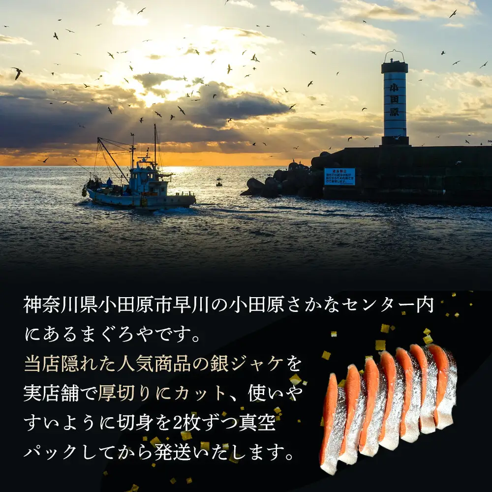 【中辛】【毎月11ヶ月 定期便】厚切り銀鮭 半身1枚 約10枚切【鮭 塩鮭 サケ 焼き魚 魚 おつまみ 惣菜 海鮮 珍味 お取り寄せ 御中元 お中元 お歳暮 父の日 母の日 贈り物 日本酒 焼酎 神奈川県 小田原市  鮭】