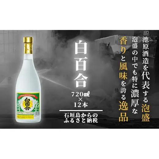 IK-10 池原酒造 白百合 720ml 30度 12本セット
