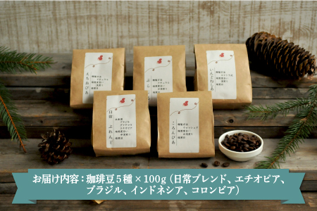 珈琲豆セット(100g×5種)北海道三笠市 2BeansCoffeeカフェ自家焙煎 【06001】
