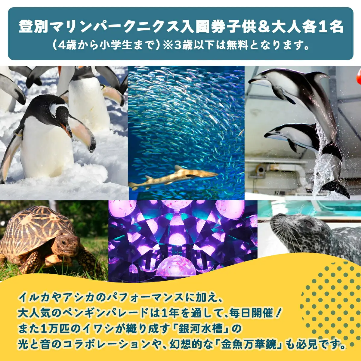 登別マリンパークニクス 入園券　大人・子供　各1名