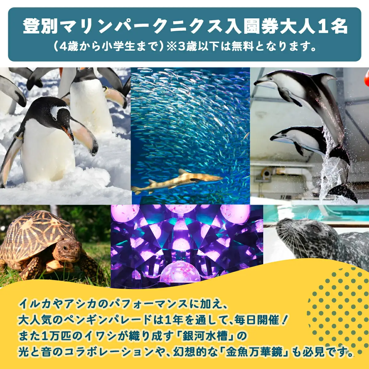 登別マリンパークニクス 入園券　大人1名