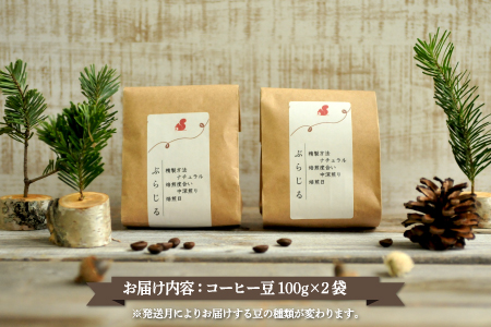 月替りスペシャルティコーヒー豆（200g）定期便3ヶ月【06008】