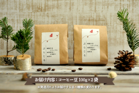 月替りスペシャルティコーヒー豆（200g）定期便6ヶ月【06009】