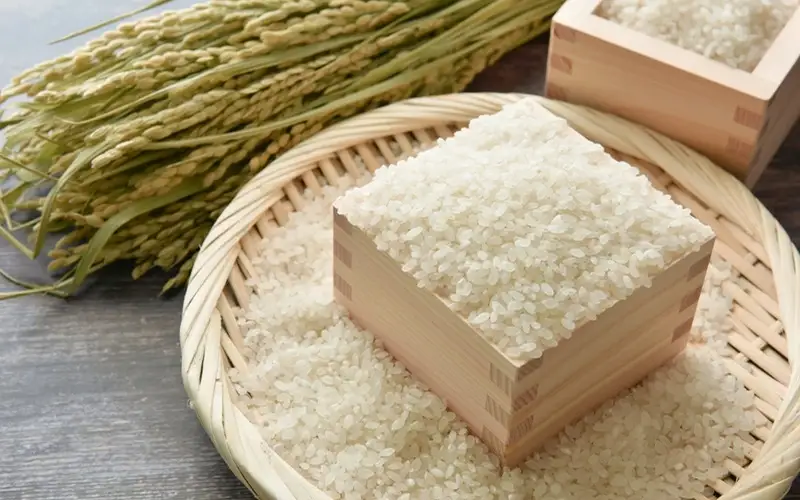 特別栽培米・伊賀米コシヒカリ 5kg コシヒカリ【tuli0001A】