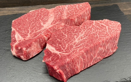 伊賀牛 ヒレステーキ（約180g×2枚）＆サーロインステーキ（約200g×2枚）セット【cook0043】
