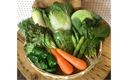 忍びの国の野菜セット（12品以上）隔月6回お届け【mtur-tkb0001】