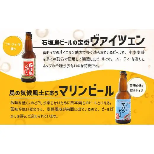 石垣島ビールおつまみセット小 V-24