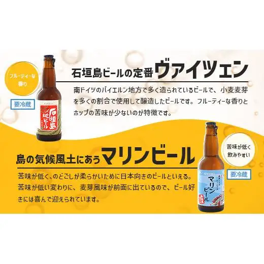 石垣島ビール詰め合わせ おまかせ12本セット　 V-22