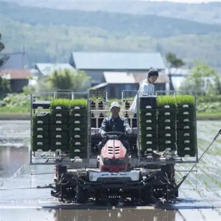 北海道産ゆめぴりか 栽培期間中農薬・化学肥料不使用 白米5kg【1382858】