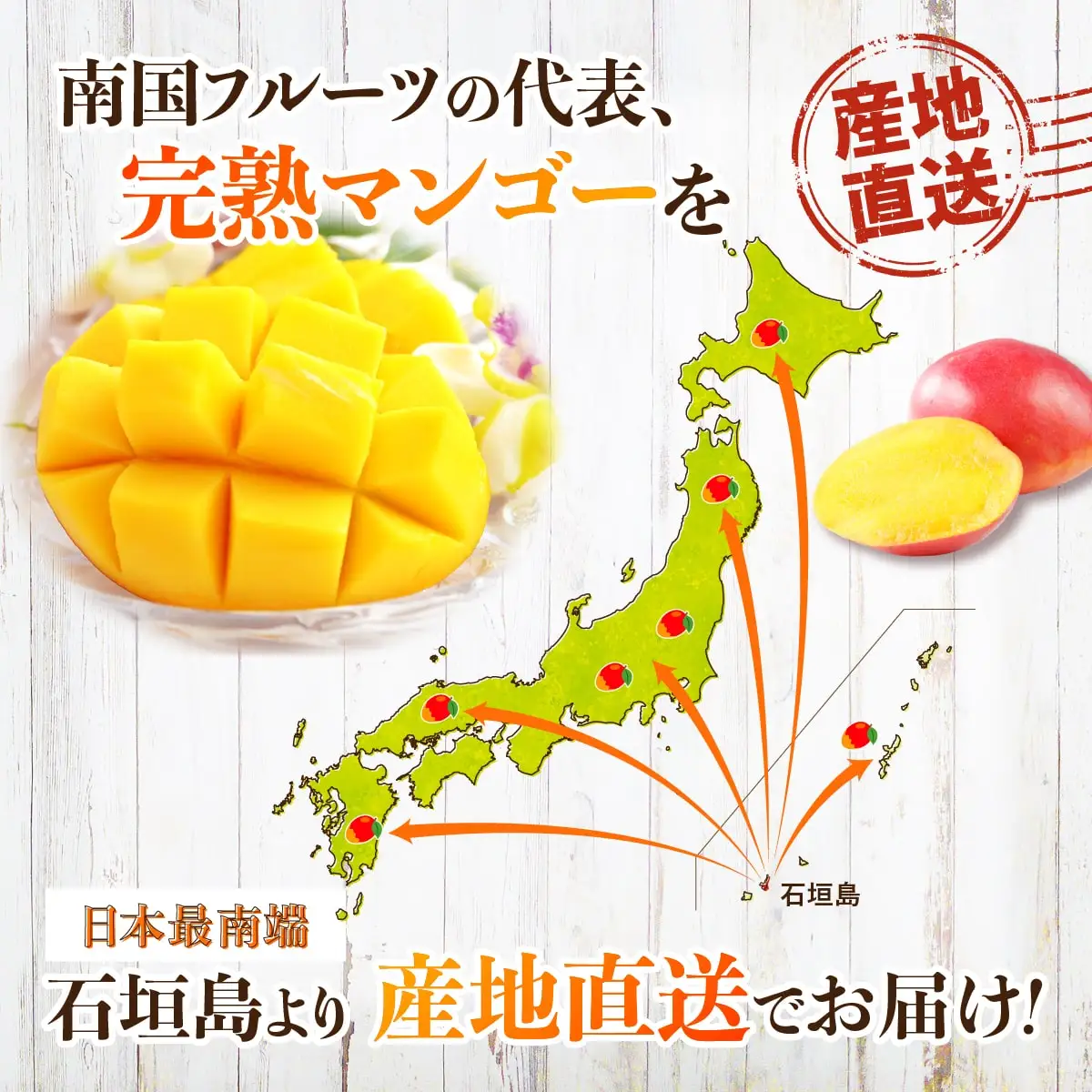 石垣島産マンゴー (アーウィン種) 2～3玉 約1kg