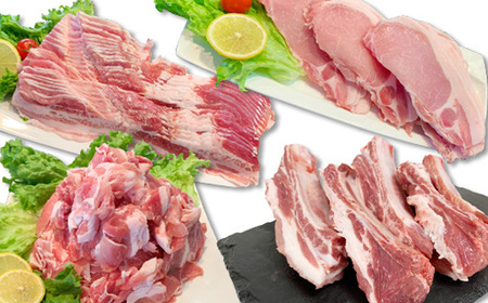 国産 豚肉 お楽しみ 4種 セット 3kg 小分け 冷凍