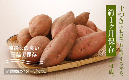 農家直送 木城町産 熟成安納いも5㎏_K30_0001_2