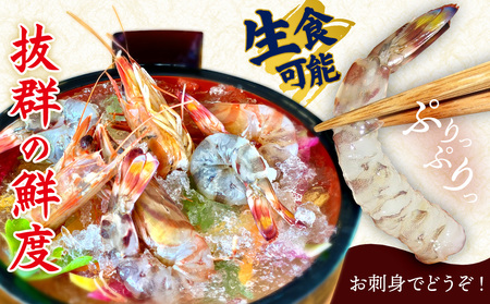 車海老【久米総合開発】活き〆急速冷凍 久米島ブランド車海老 中サイズ 500g 車えび 海鮮