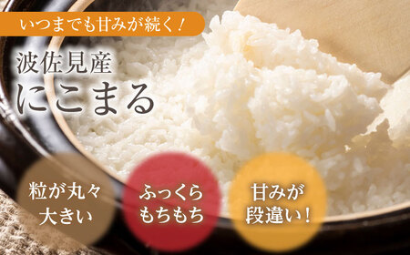 【令和7年度米】【全3回定期便】にこまる 白米 5kg×3回 計15kg  波佐見町産【冨永米穀店】 [ZF07]