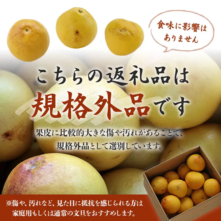 文旦 高知 10kg 高知県 家庭用 10kg家庭用 2L～4Lサイズ (規格外) 高知 先行予約 期間限定 間城農園 文旦 - ぶんたん フルーツ 果物 柑橘 訳あり ms-0096