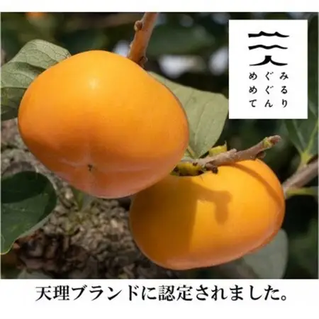 【R8年11月発送】種なし柿家庭用　約3.5k(M～3L)_果物・フルーツ 柿（カキ）  かき_【配送不可地域：離島】【1385413】